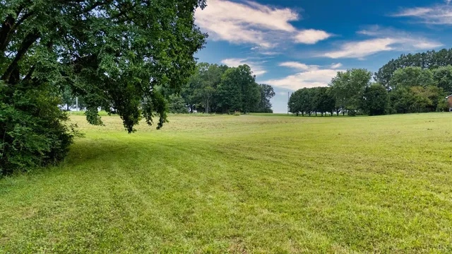a backyard of a house with lots of green space