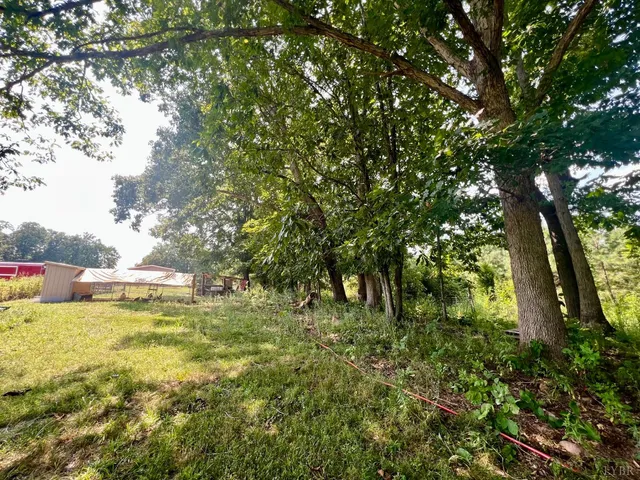 a view of a yard with plants and trees
