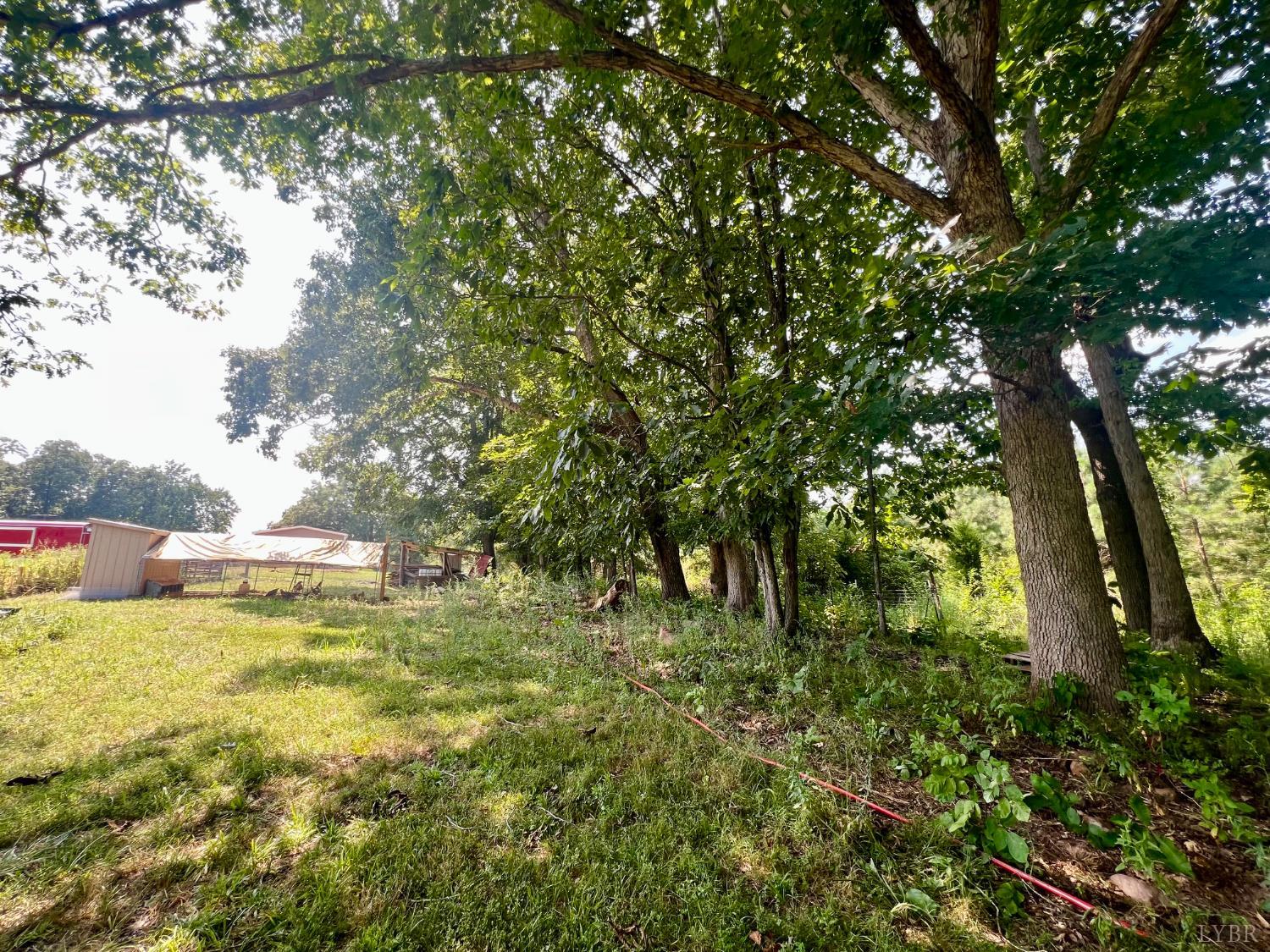 4526 Pigeon Run Road Gladys, VA 24554 - Photo 43 of 54 a backyard of a house with lots of green space