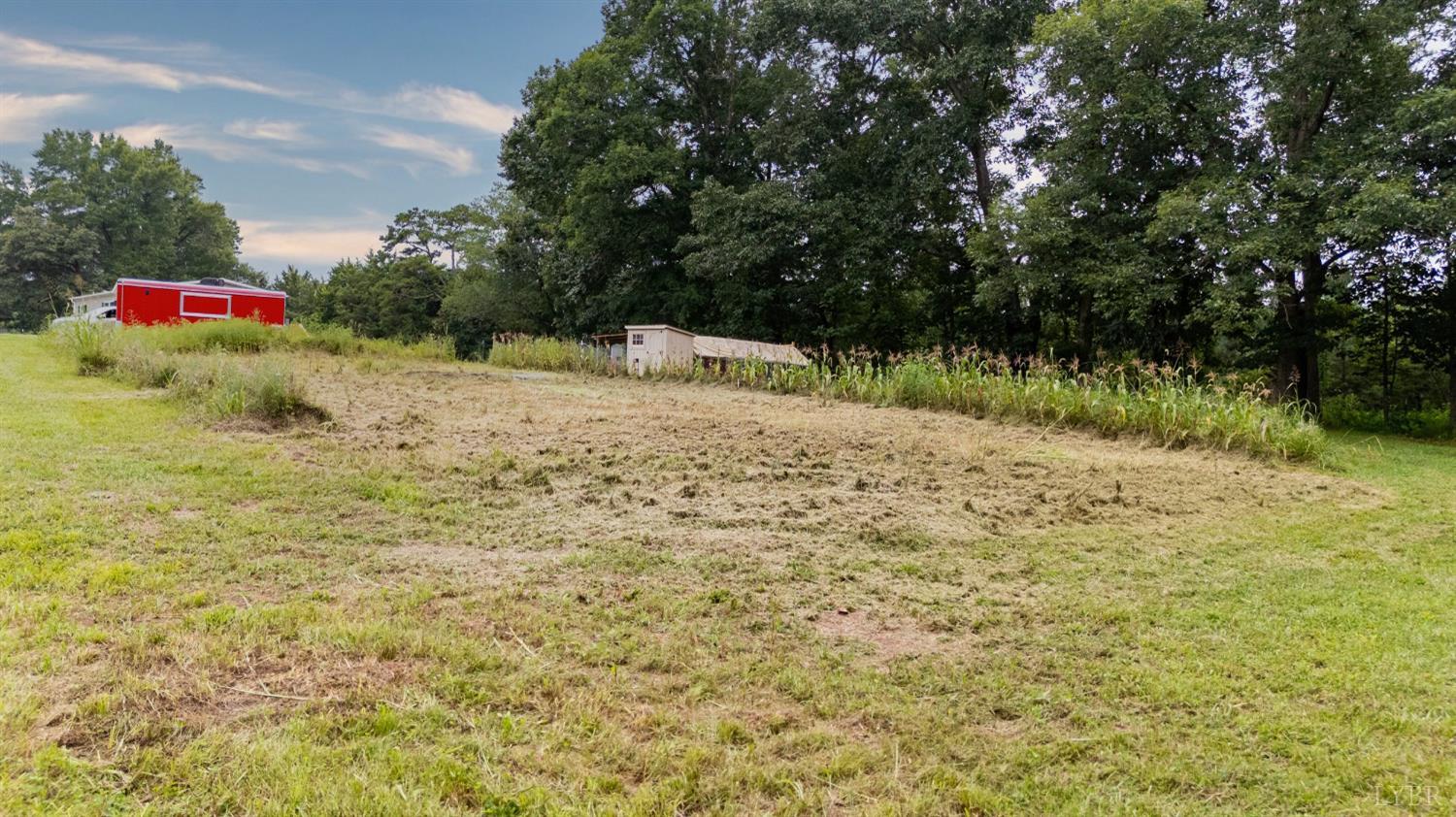 4526 Pigeon Run Road Gladys, VA 24554 - Photo 45 of 54 a view of a yard with plants and trees