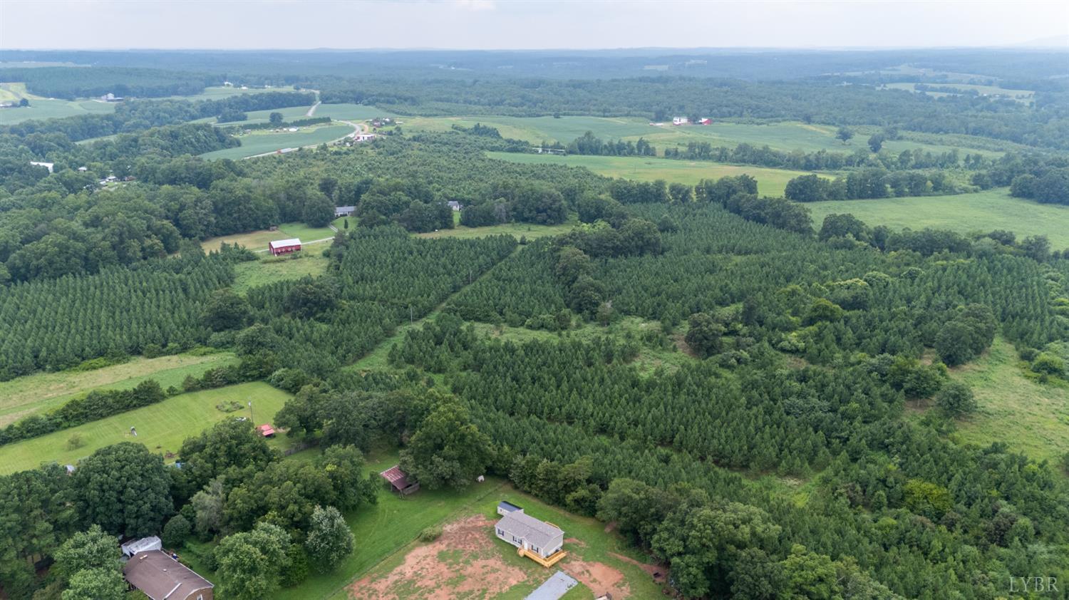 4526 Pigeon Run Road Gladys, VA 24554 - Photo 52 of 54 a view of a lush green forest with trees and some houses