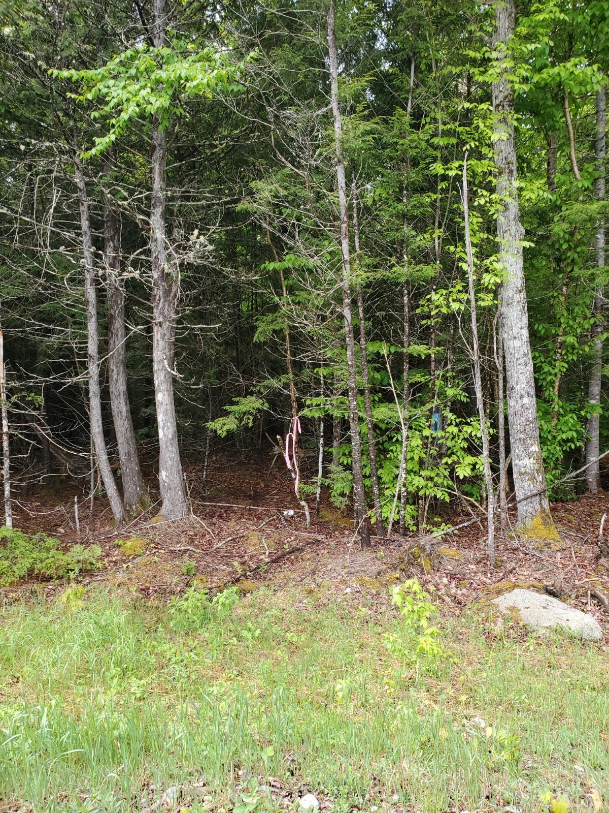 Lot 12 West Butterfield Ridge Road Lincoln, ME 04457 - Photo 7 of 7 20200606_102213