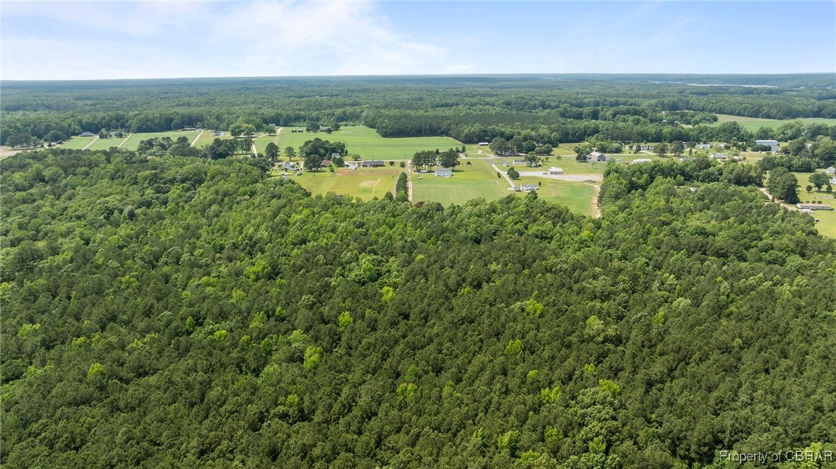 34 Acres Windsor Road North, VA 23128 - Photo 5 of 33