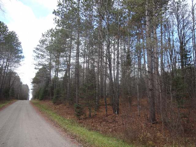 11586 Morgan Lake Road Long Lake, WI 54542 - Photo 7 of 12 Gallery Image 7