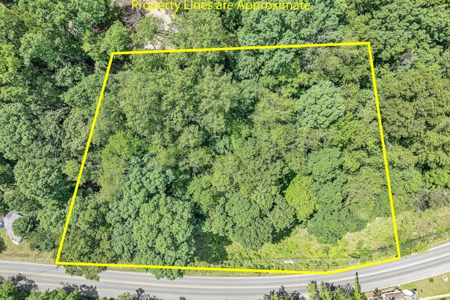 a view of a yard with plants