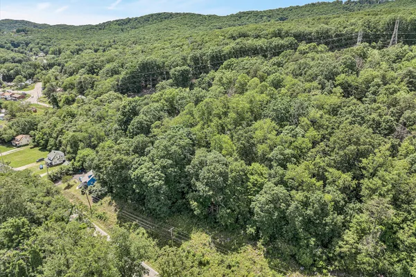 a view of a lush green forest with trees and houses