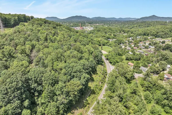 a view of an lush green hillside and a mountain