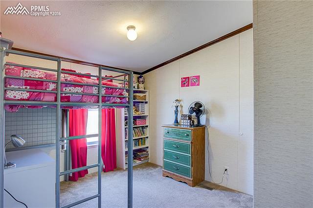 4445 Wileys Road Peyton, CO 80831 - Photo 24 of 36