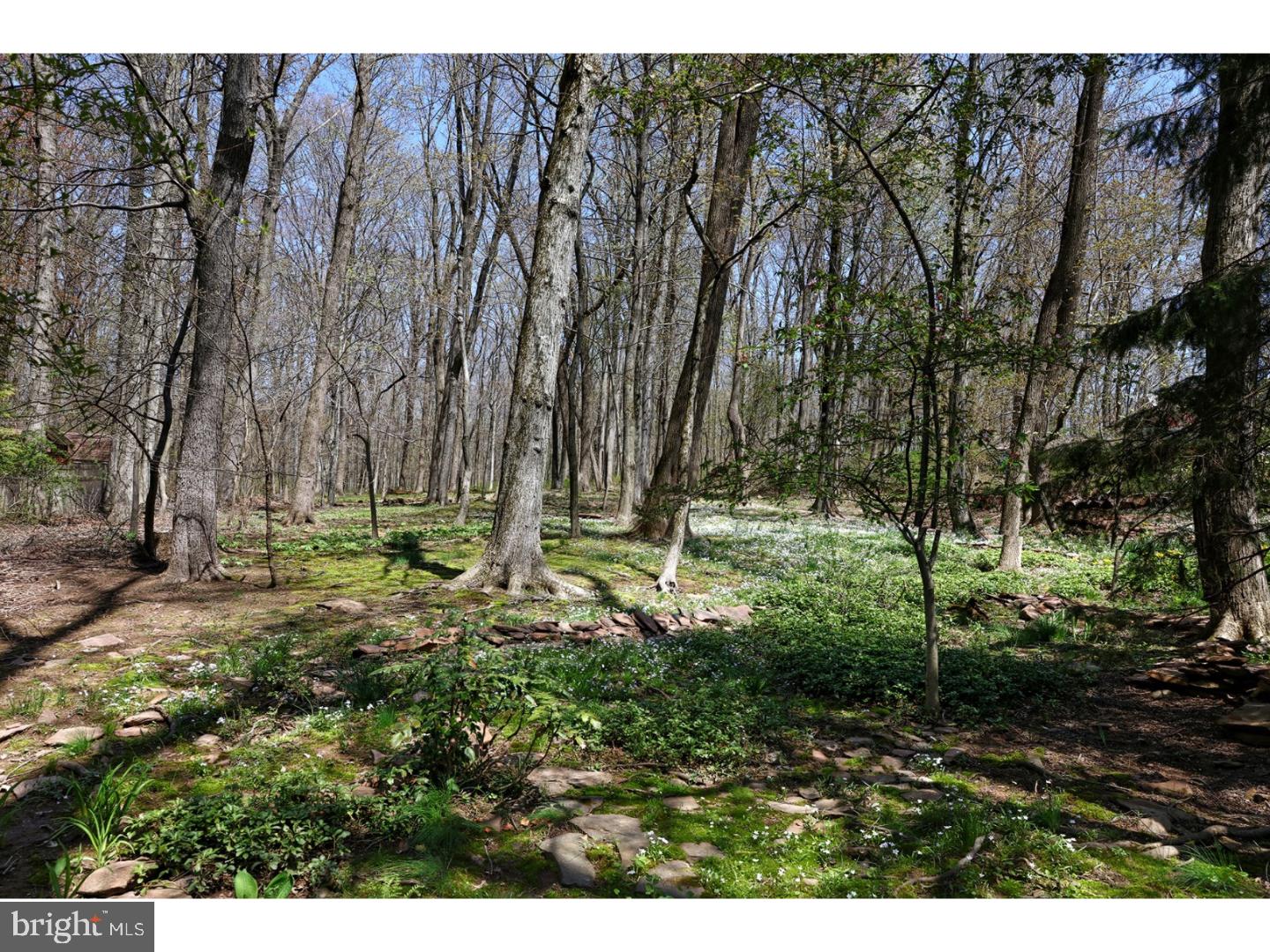 48 New Road Lambertville, NJ 08530 - Photo 25 of 25