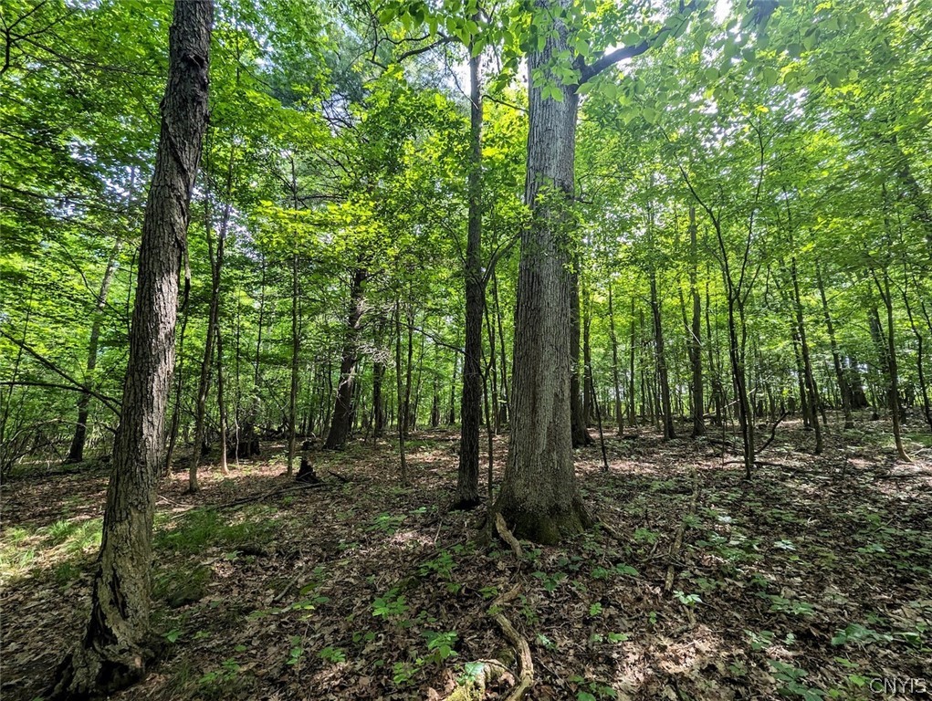 Keifer Hollow Road Dansville, NY 14437 - Photo 20 of 33
