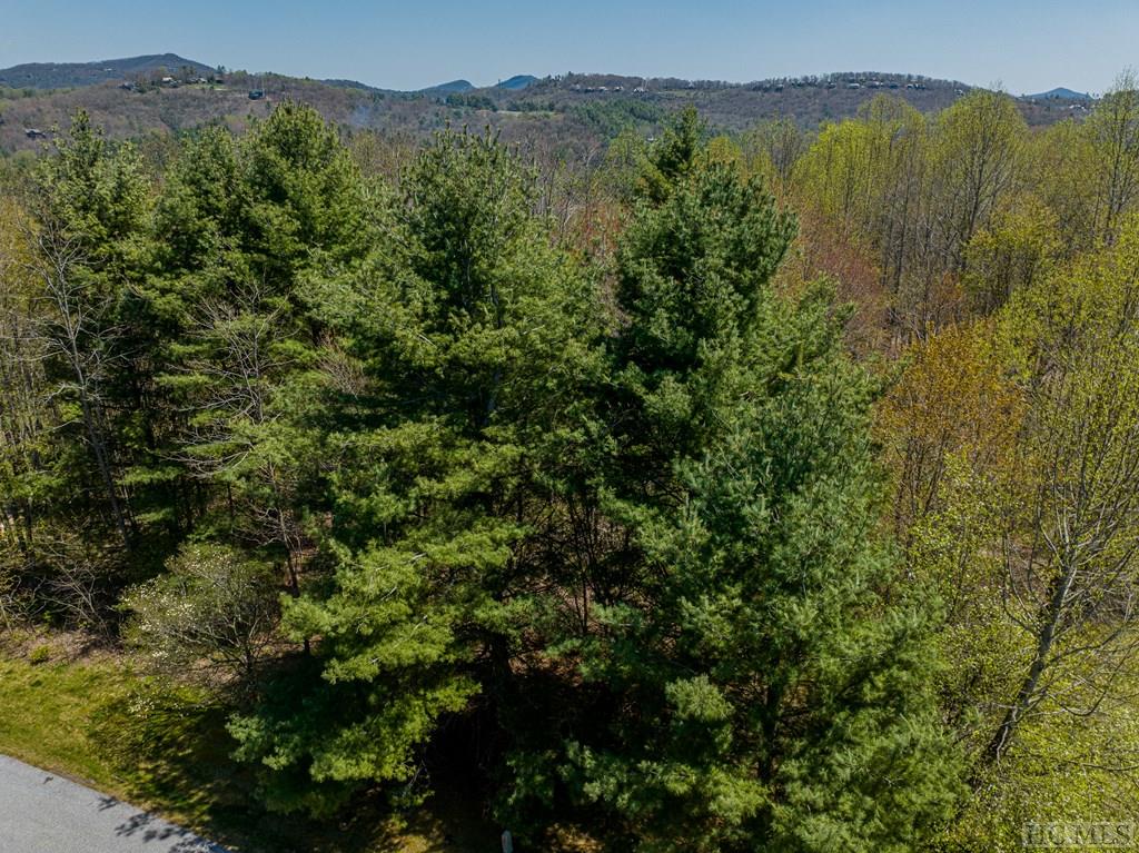 Lot 20 Trillium Ridge Road Sapphire, NC 28774 - Photo 14 of 17 Gallery Image 14