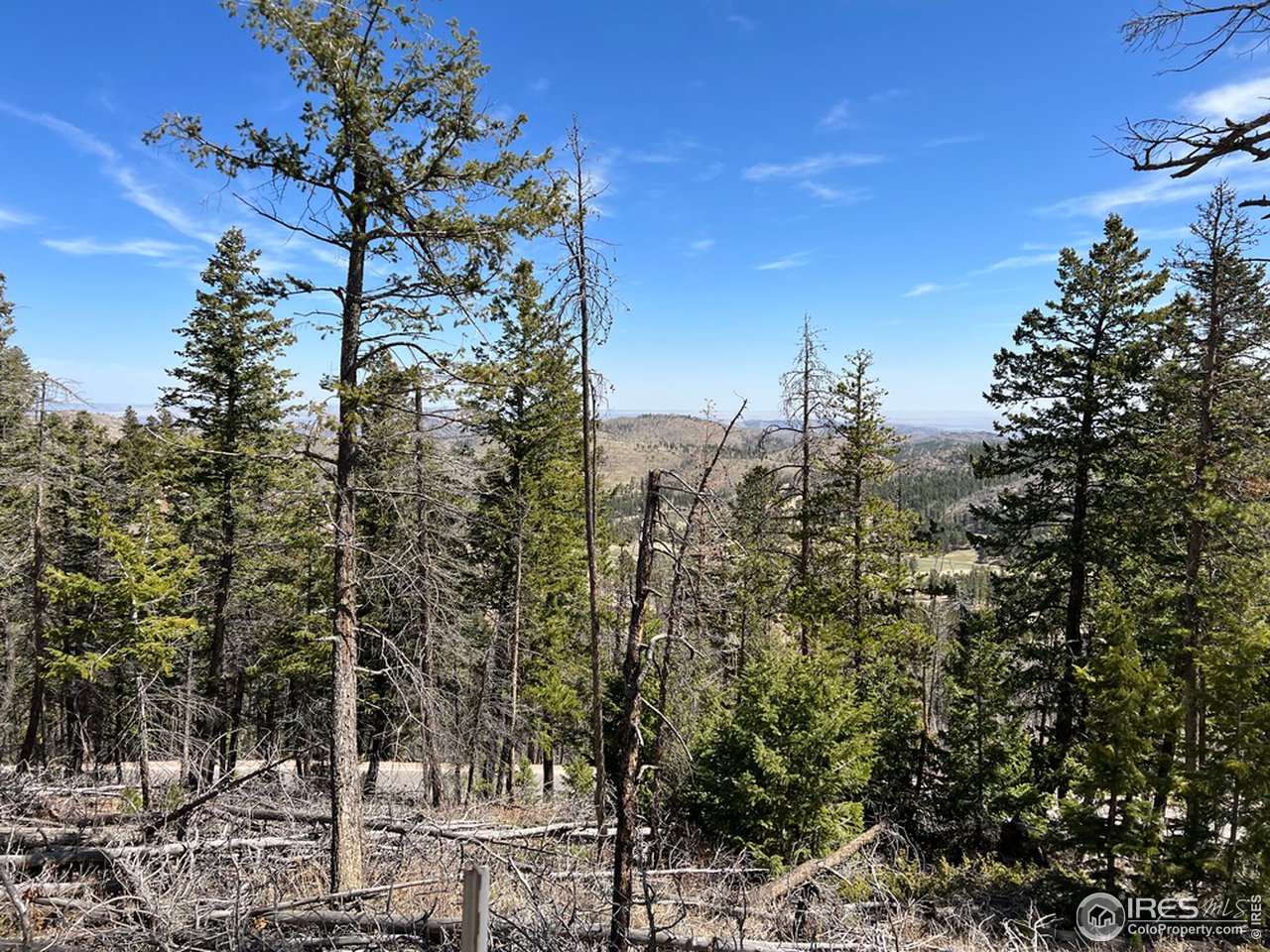 0 Rist Canyon Road Bellvue, CO 80512 - Photo 13 of 22 a view of a city with lots of trees
