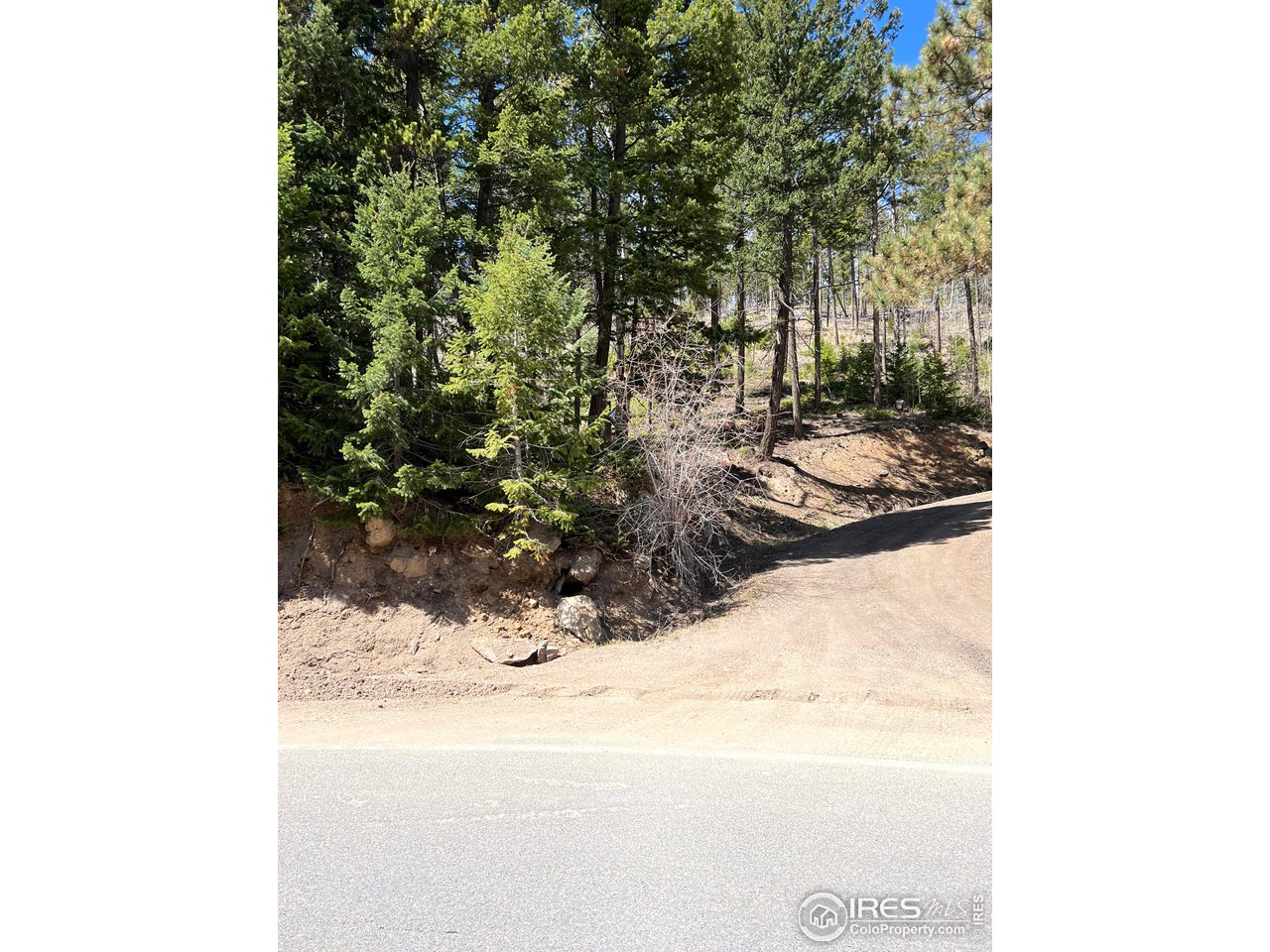 0 Rist Canyon Road Bellvue, CO 80512 - Photo 5 of 22 a view of a yard with a snow