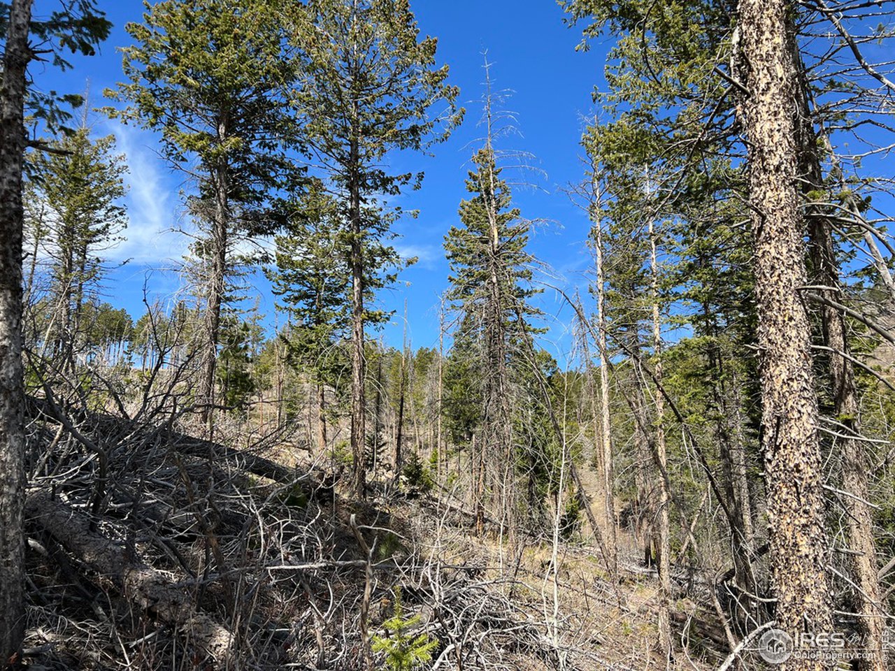 0 Rist Canyon Road Bellvue, CO 80512 - Photo 10 of 22 a view of a city
