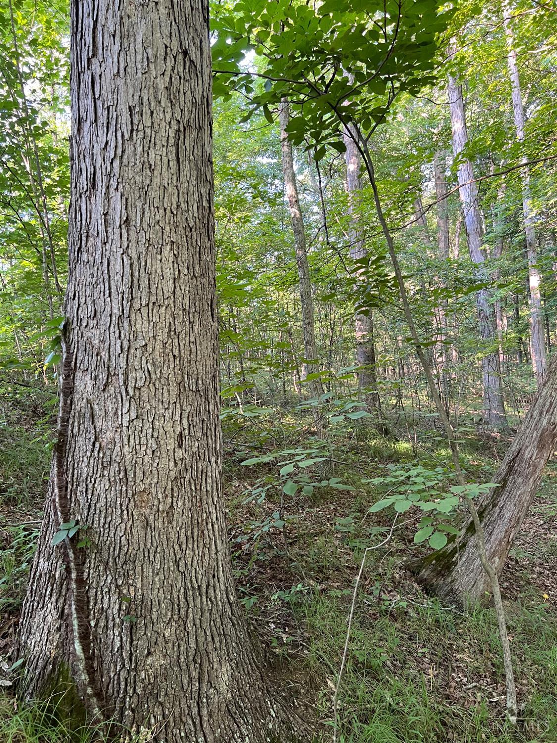 0 Tabernacle Road Chillicothe, OH 45601 - Photo 3 of 64