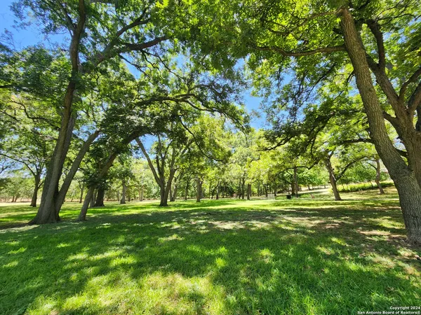 $1,895 | 184 East Torrey Street, New Braunfels, TX 78130