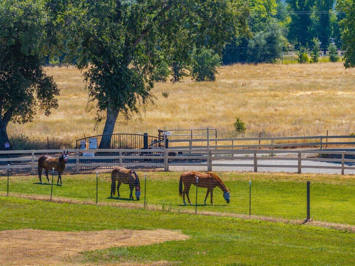 5521 Churn Creek Road Redding, CA 96002 - Photo 27 of 29 5521 Churn Creek Rd - E-88