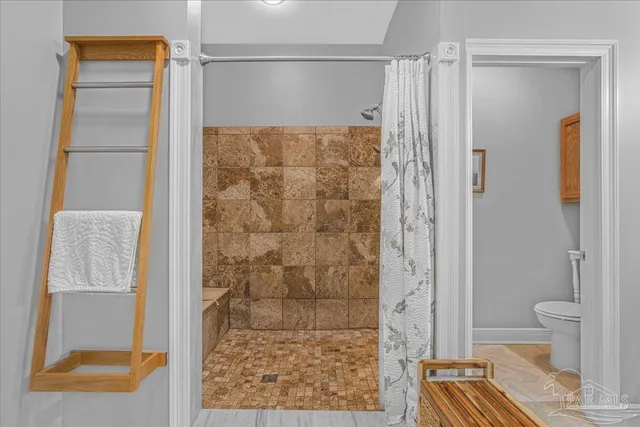 a bathroom with a shower and a toilet