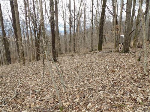 128 Oak Ridge Road, Unit 128 Pikeville, TN 37367 - Photo 1 of 11 great-place-for-a-cabin-pikeville-bledso