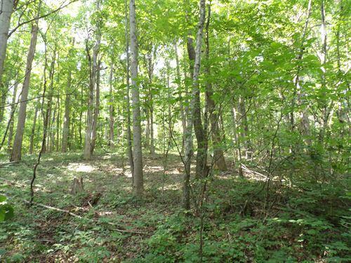 128 Oak Ridge Road, Unit 128 Pikeville, TN 37367 - Photo 5 of 11 great-place-for-a-cabin-pikeville-bledso