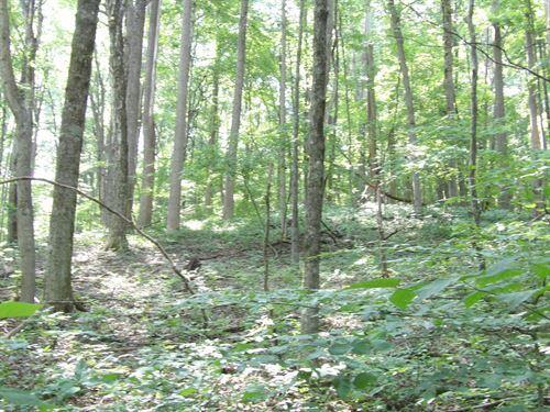 128 Oak Ridge Road, Unit 128 Pikeville, TN 37367 - Photo 10 of 11 great-place-for-a-cabin-pikeville-bledso