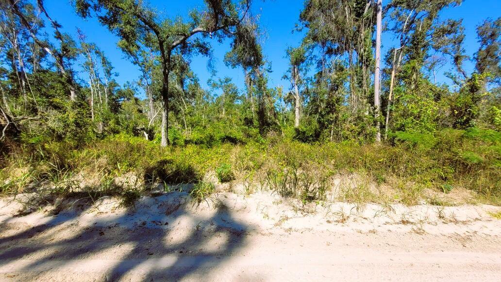 Lot 56 Northwest 29th Loop Jennings, FL 32053 - Photo 17 of 20