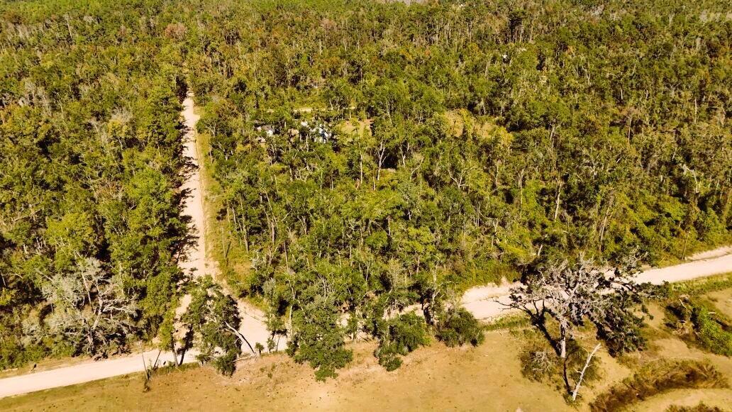 Lot 56 Northwest 29th Loop Jennings, FL 32053 - Photo 2 of 20 a view of a yard