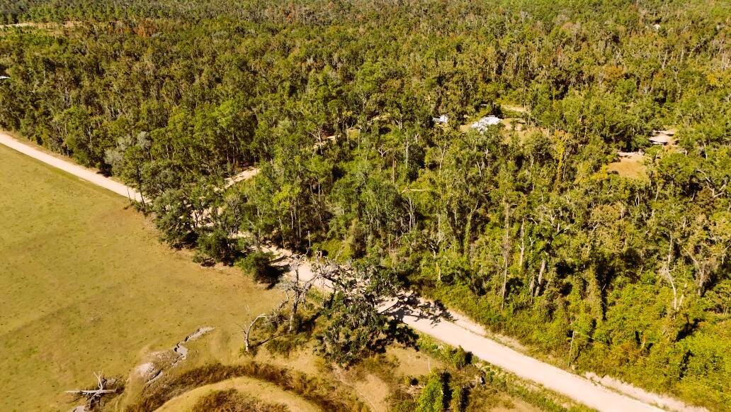 Lot 56 Northwest 29th Loop Jennings, FL 32053 - Photo 4 of 20 a view of a yard