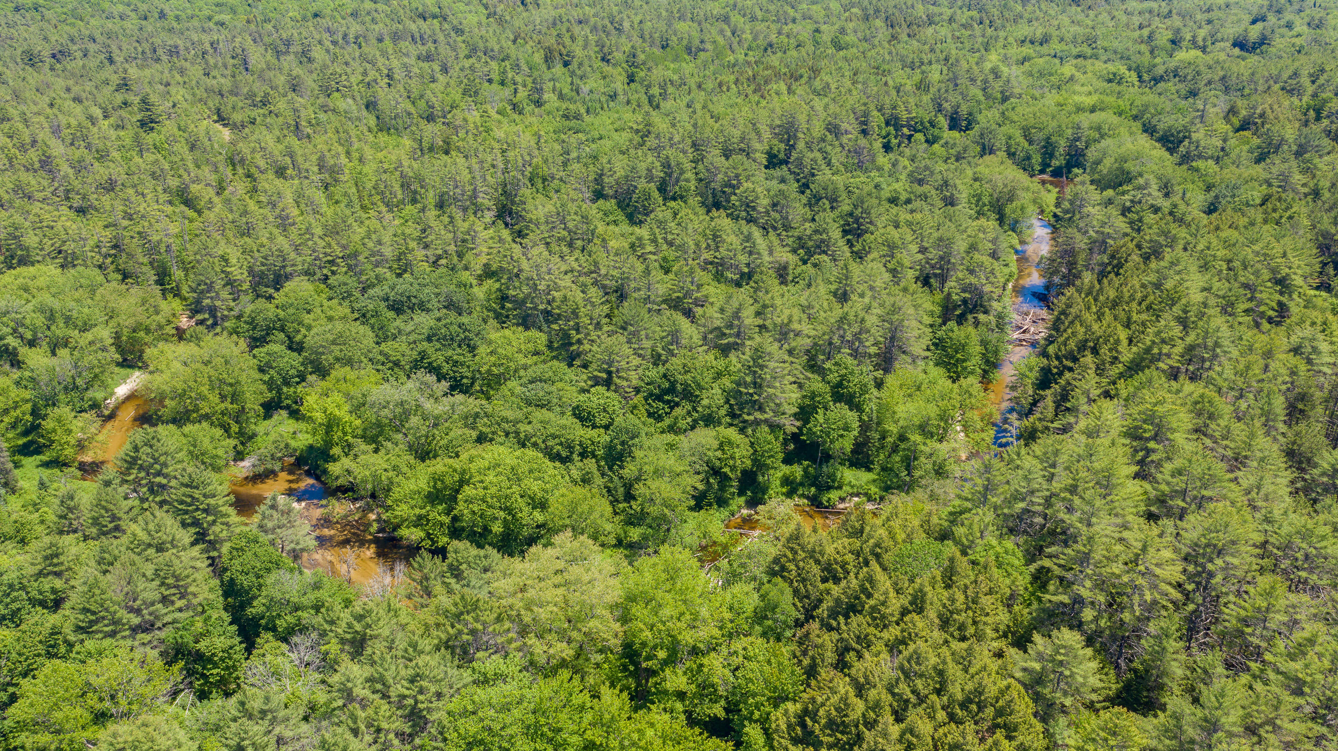 81 Big Woods Road Harrison, ME 04040 - Photo 28 of 37 81 Big Woods Road Harrison-49