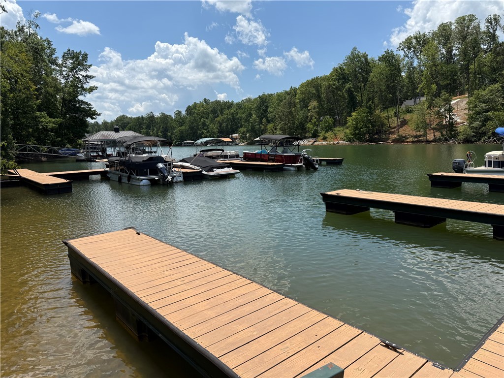 0 South Towson Trail West Union, SC 29696 - Photo 6 of 7 Boat slips