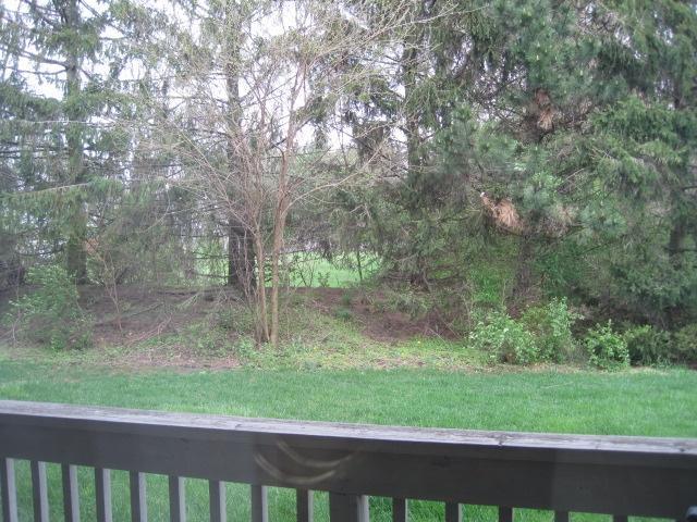 5334 Darlington Road, Unit A Columbus, OH 43220 - Photo 2 of 15
