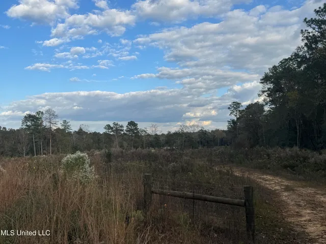 $192,270 | Fruitland Park Road, Wiggins, MS 39577