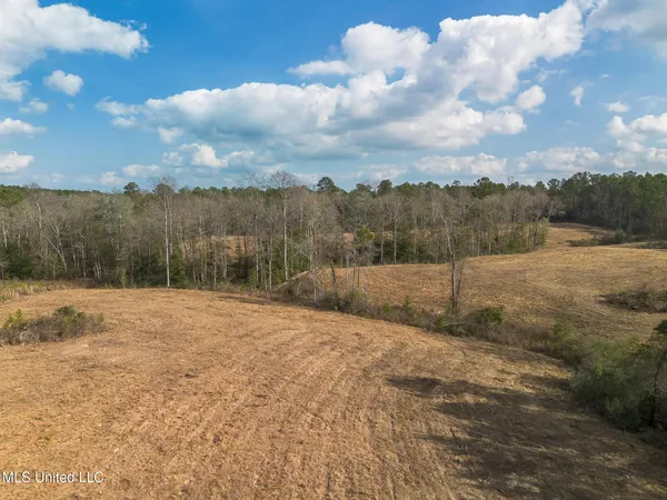 $174,522 | Fruitland Park Road, Wiggins, MS 39577