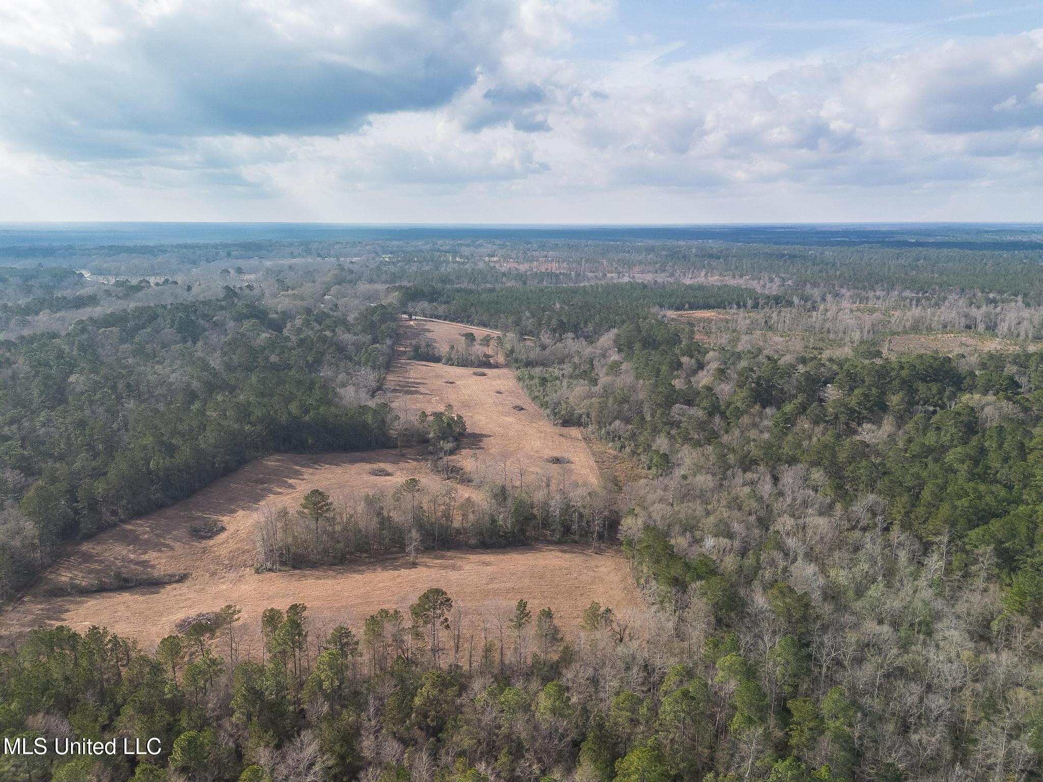 Fruitland Park Road Wiggins, MS 39577 - Photo 11 of 17 DJI_0222-Edit