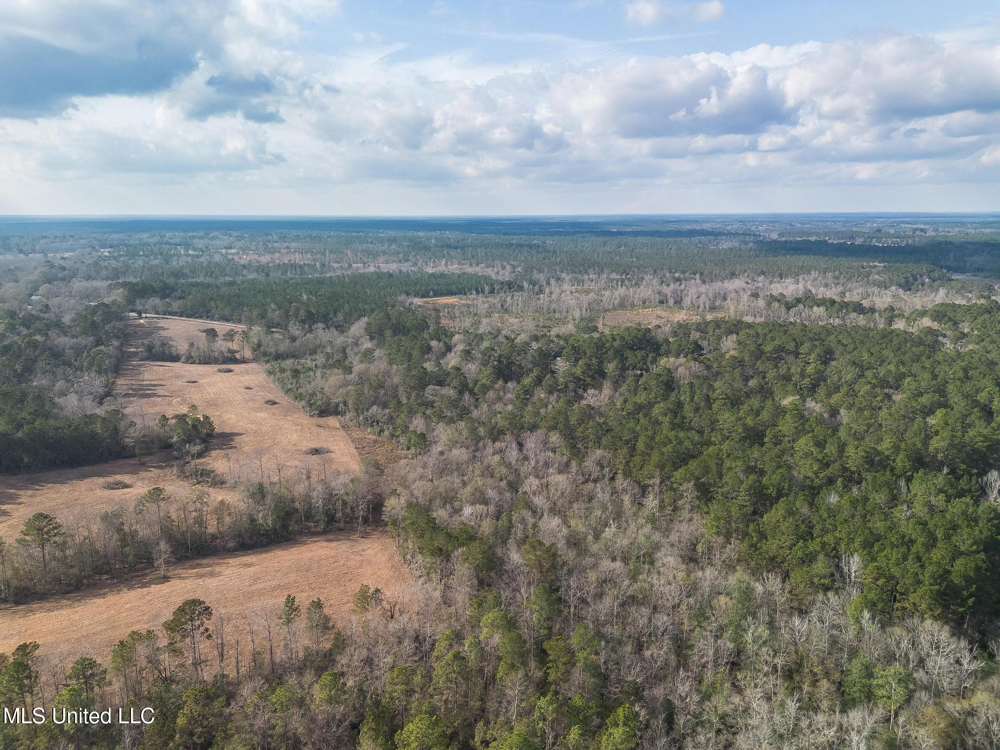 Fruitland Park Road Wiggins, MS 39577 - Photo 12 of 17 DJI_0223-Edit