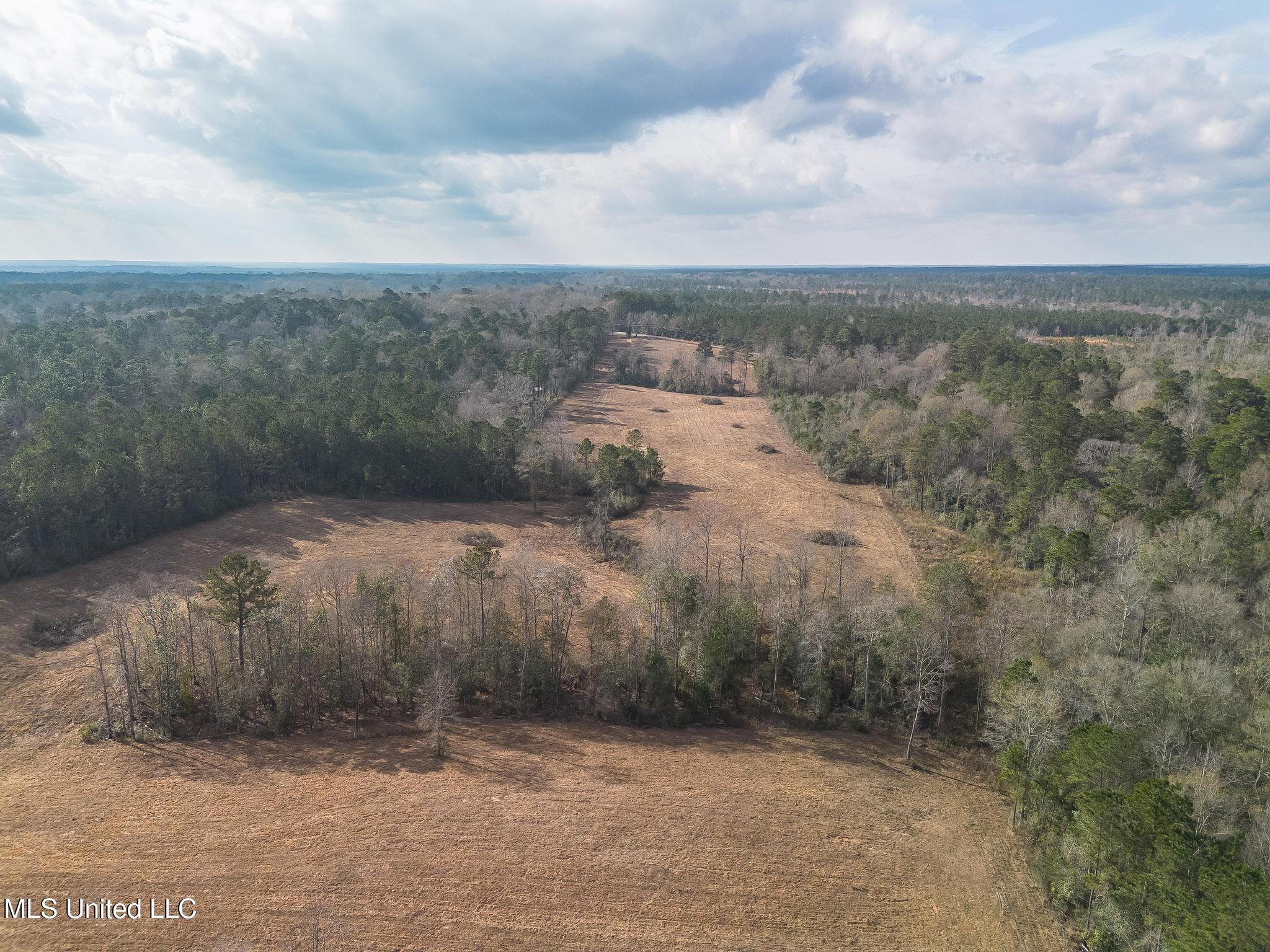 Fruitland Park Road Wiggins, MS 39577 - Photo 13 of 17 DJI_0224-Edit