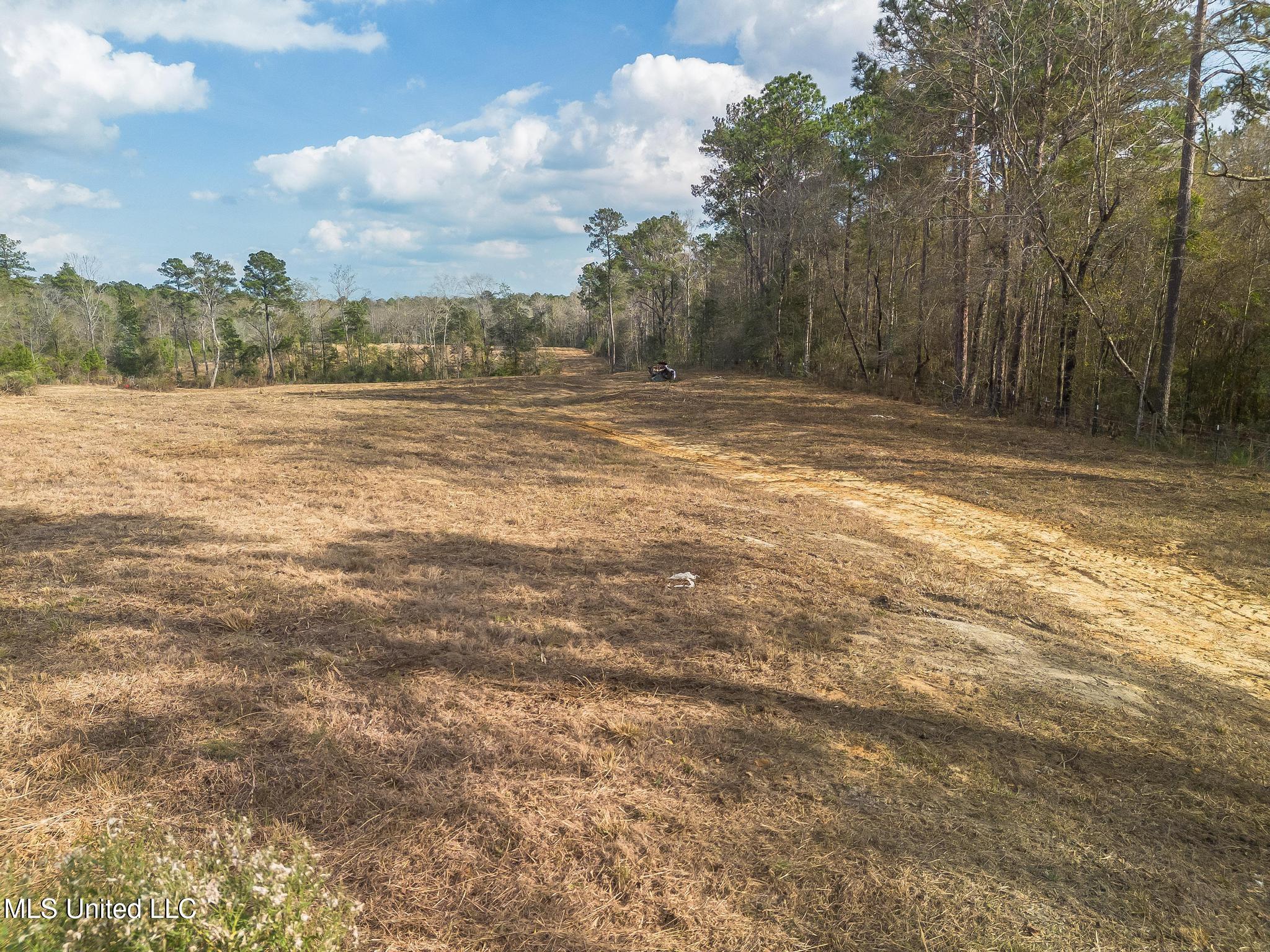 Fruitland Park Road Wiggins, MS 39577 - Photo 16 of 17 DJI_0227-Edit