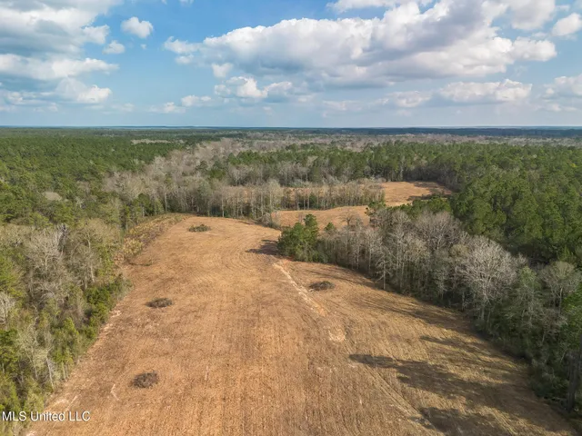 $174,522 | Fruitland Park Road, Wiggins, MS 39577