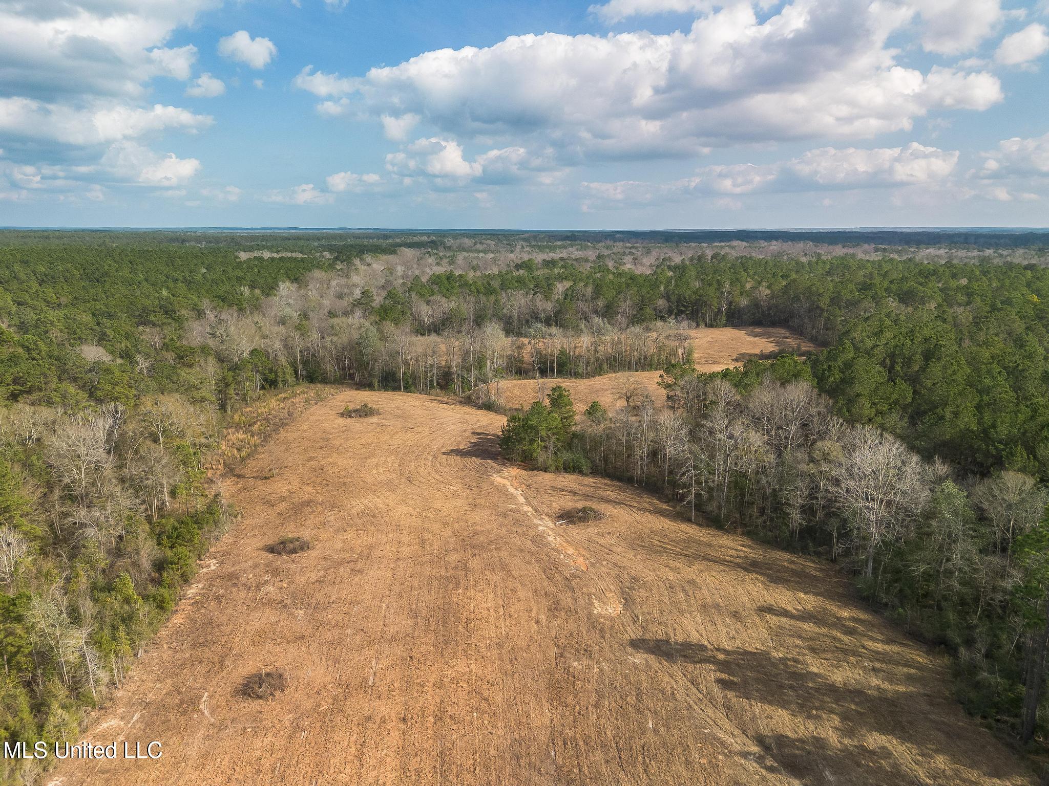 Fruitland Park Road Wiggins, MS 39577 - Photo 2 of 17 DJI_0217-Edit