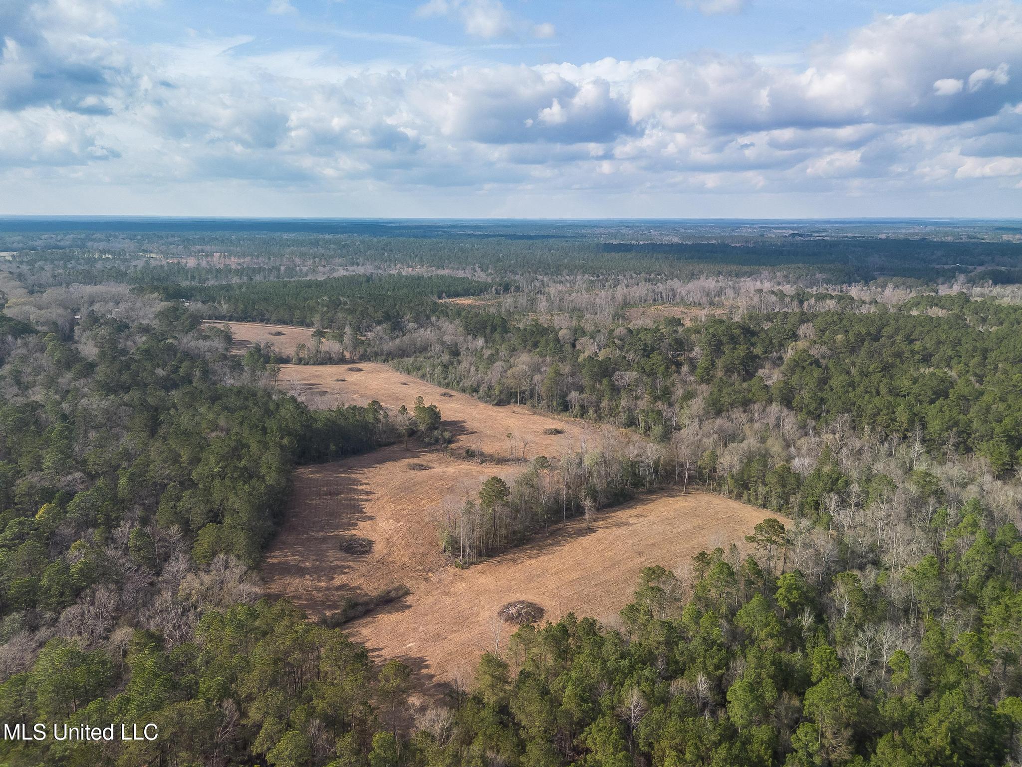 Fruitland Park Road Wiggins, MS 39577 - Photo 3 of 17 DJI_0220-Edit