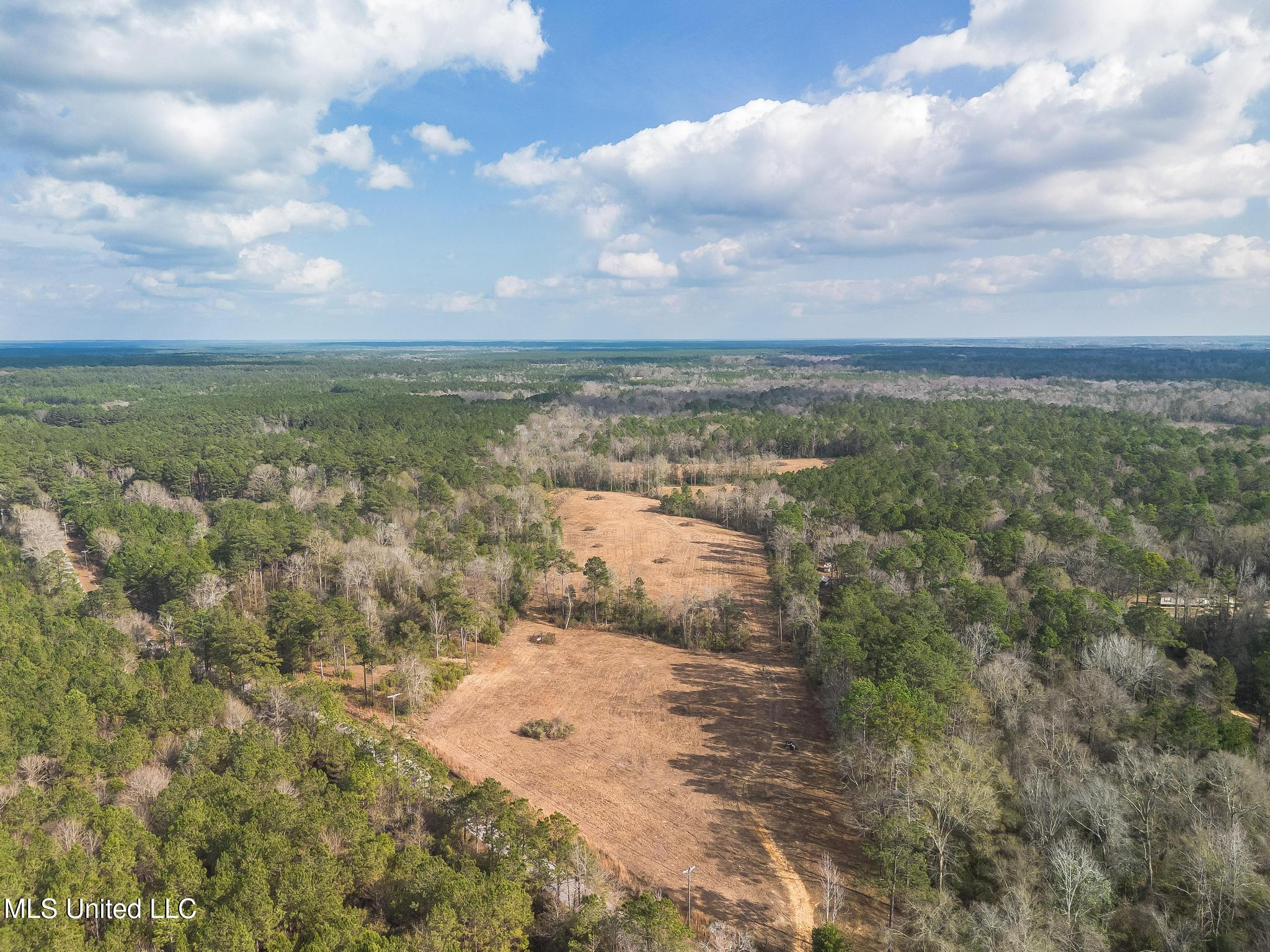 Fruitland Park Road Wiggins, MS 39577 - Photo 4 of 17 DJI_0213-Edit