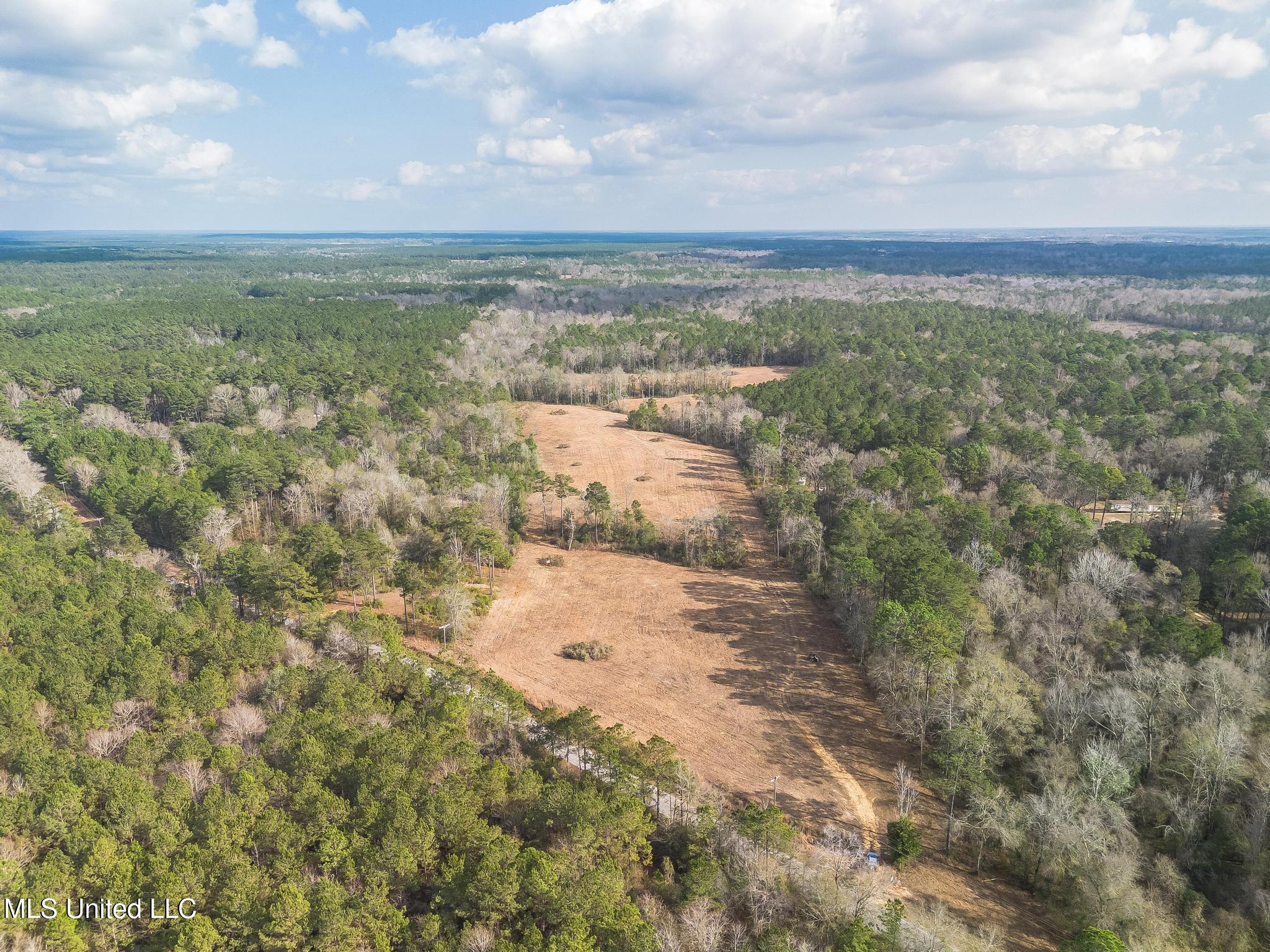 Fruitland Park Road Wiggins, MS 39577 - Photo 5 of 17 DJI_0214-Edit