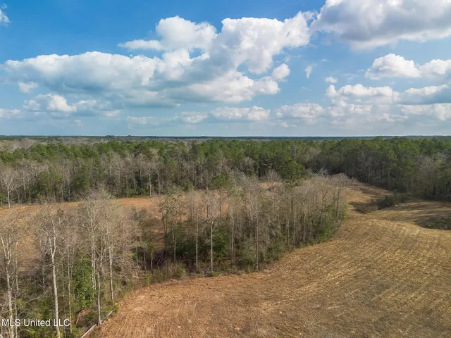 $174,522 | Fruitland Park Road, Wiggins, MS 39577
