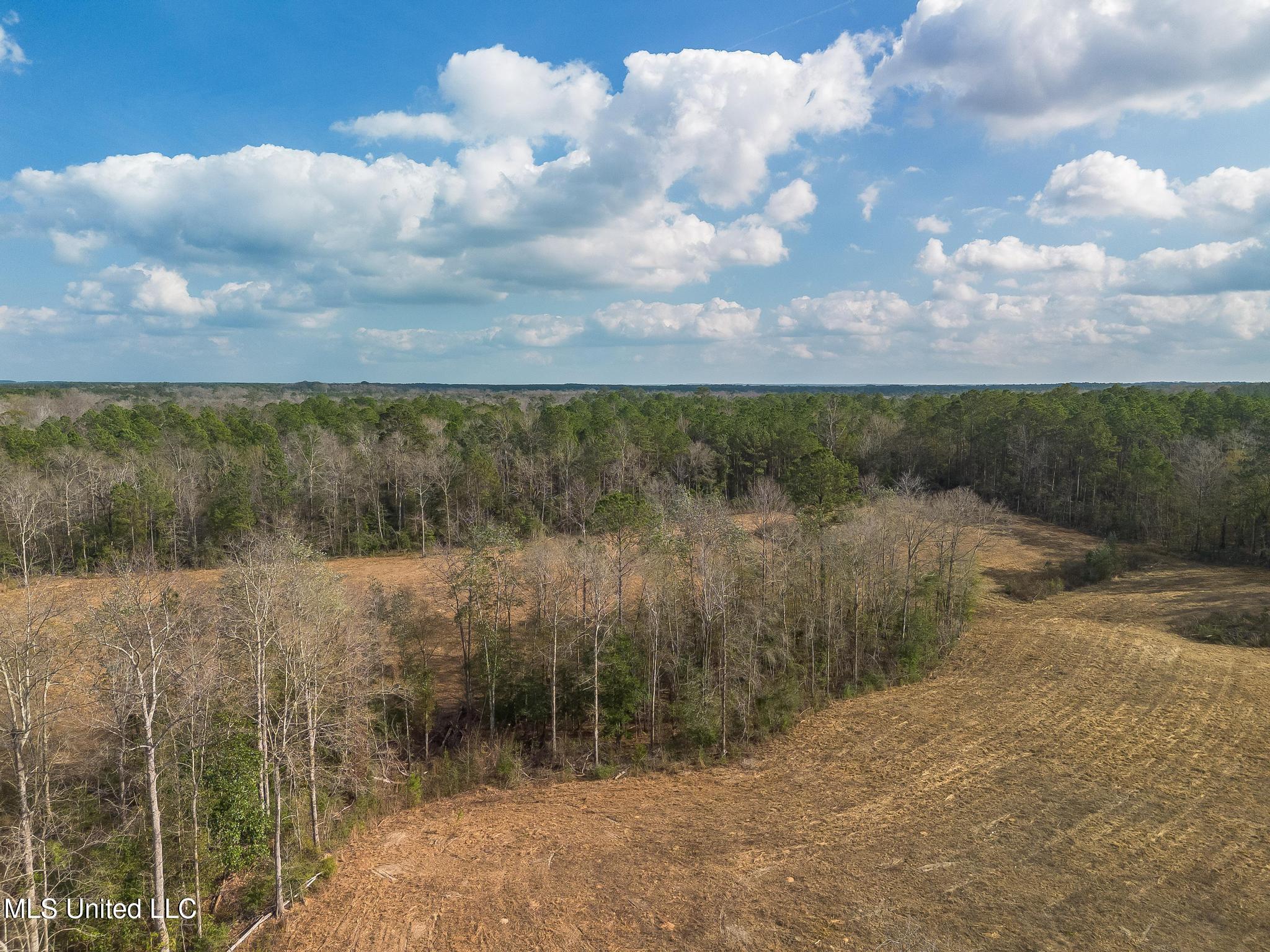 Fruitland Park Road Wiggins, MS 39577 - Photo 9 of 17 DJI_0219-Edit