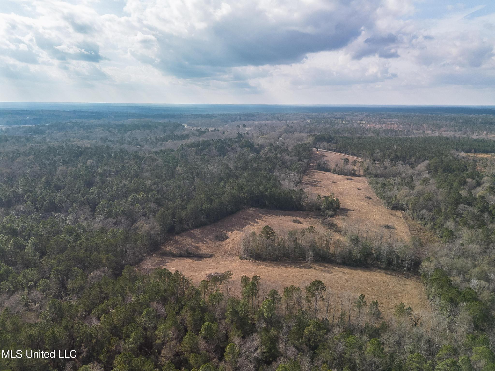 Fruitland Park Road Wiggins, MS 39577 - Photo 10 of 17 DJI_0221-Edit
