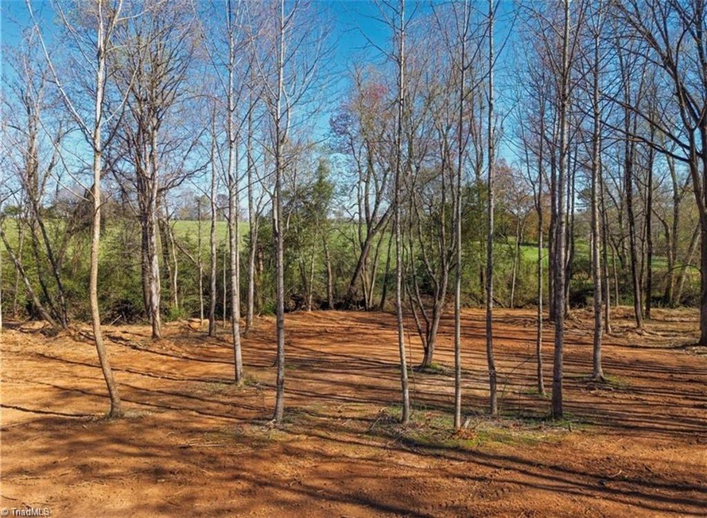 2633 Sprouse Road Boonville, NC 27011 - Photo 1 of 19