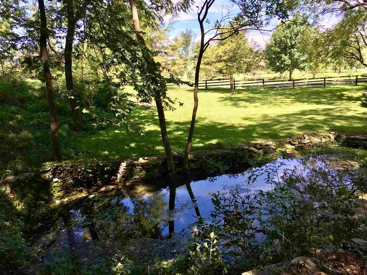 398 Miller Road Waynesboro, VA 22980 - Photo 6 of 11 a view of lake view with large tree