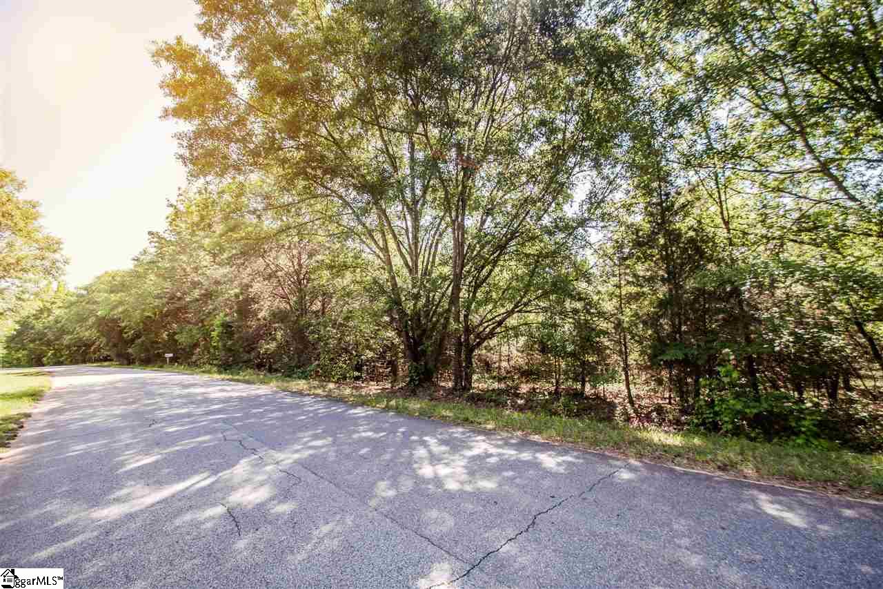 207 Black Road Simpsonville, SC 29680 - Photo 3 of 10