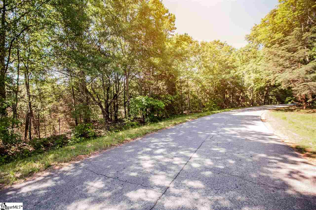 207 Black Road Simpsonville, SC 29680 - Photo 4 of 10