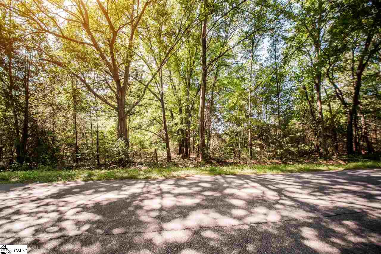 207 Black Road Simpsonville, SC 29680 - Photo 5 of 10